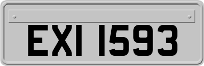 EXI1593