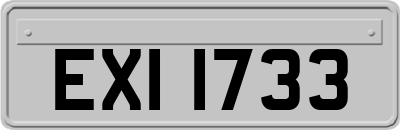 EXI1733