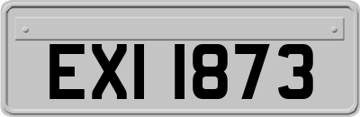 EXI1873