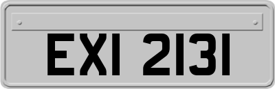 EXI2131