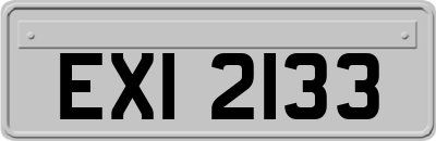 EXI2133