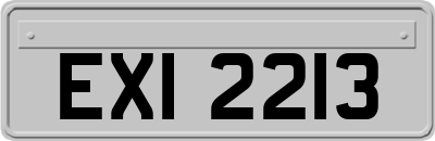 EXI2213