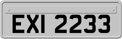 EXI2233