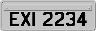 EXI2234