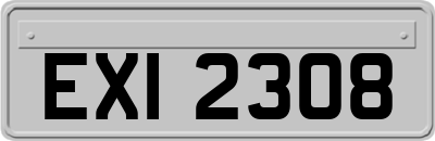 EXI2308