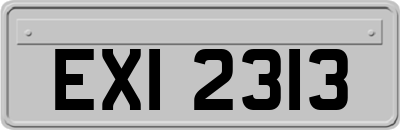 EXI2313