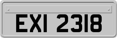 EXI2318