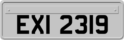 EXI2319
