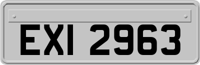 EXI2963