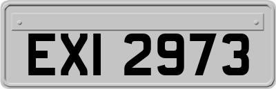 EXI2973
