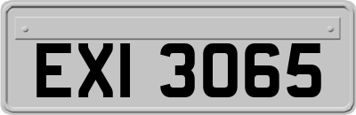 EXI3065