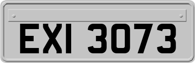 EXI3073