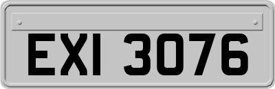 EXI3076