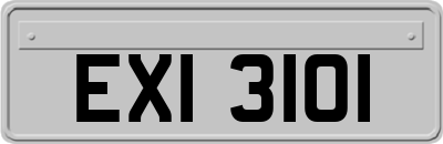 EXI3101
