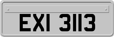 EXI3113