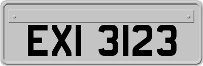 EXI3123