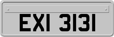 EXI3131