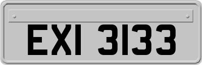 EXI3133