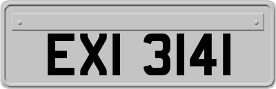 EXI3141