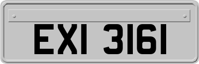 EXI3161