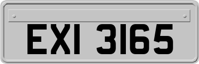 EXI3165