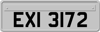 EXI3172