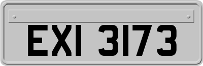 EXI3173