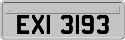 EXI3193