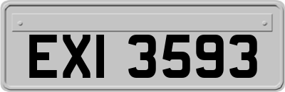 EXI3593