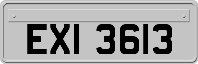 EXI3613