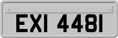 EXI4481