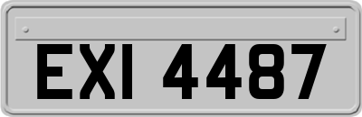 EXI4487