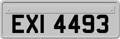EXI4493
