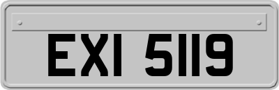 EXI5119