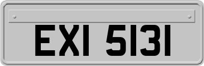 EXI5131