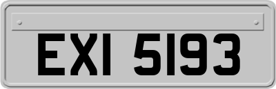 EXI5193