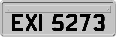 EXI5273