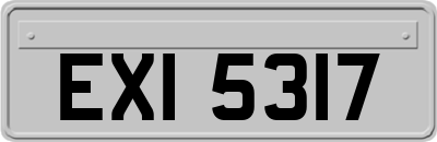 EXI5317