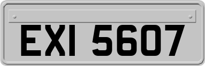 EXI5607