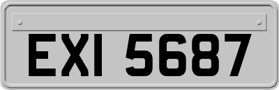 EXI5687