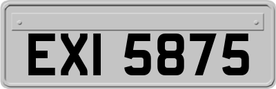 EXI5875