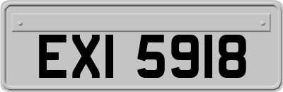 EXI5918