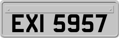 EXI5957