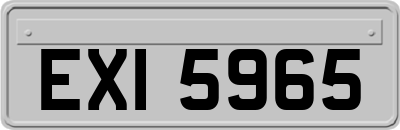 EXI5965