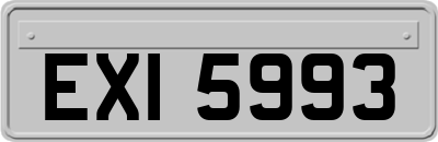 EXI5993