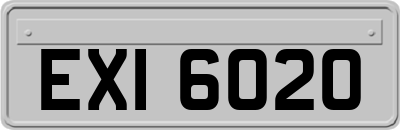 EXI6020