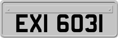 EXI6031