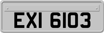 EXI6103