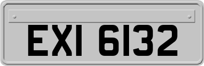 EXI6132
