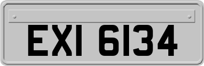 EXI6134